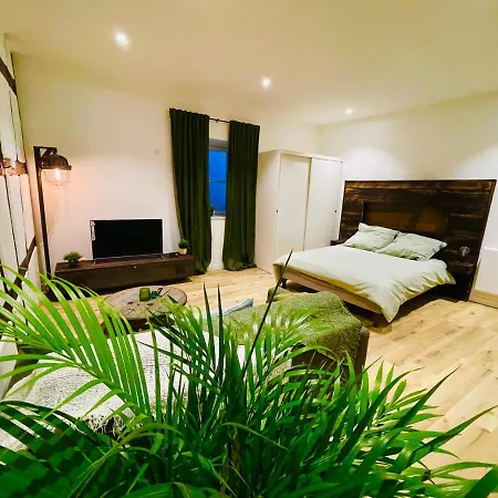 Le Ptit Chauffour - Hyper Centre De Colmar & Au Calme Apartment Exterior photo